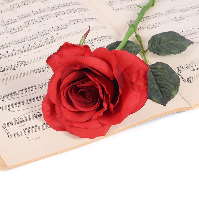 50034198 - the rose on notebooks with musical notes